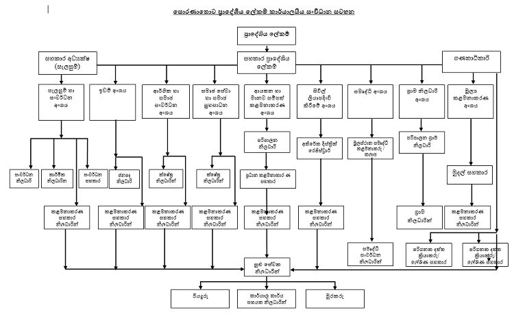 organization cchart1 sor